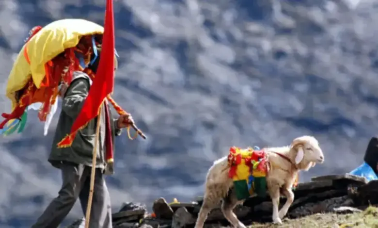 Nanda-Rajjat-yatra-1768756453171-780x470