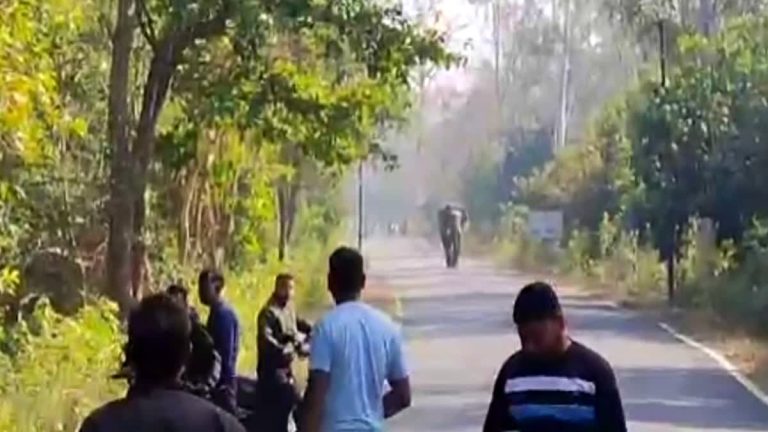 1200-675-25998623-thumbnail-16x9-pic-97-aspera