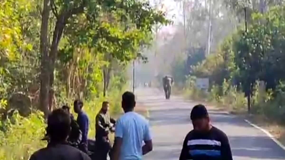 1200-675-25998623-thumbnail-16x9-pic-97-aspera