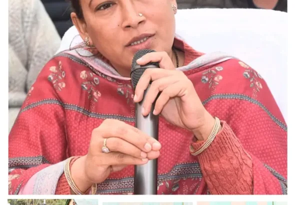 IMG_20260317_152051-1165x1536